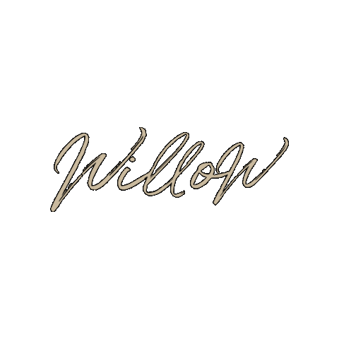 willowacademy giphygifmaker willow gelpolish willow academy Sticker