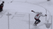 happy ice hockey GIF by NHL