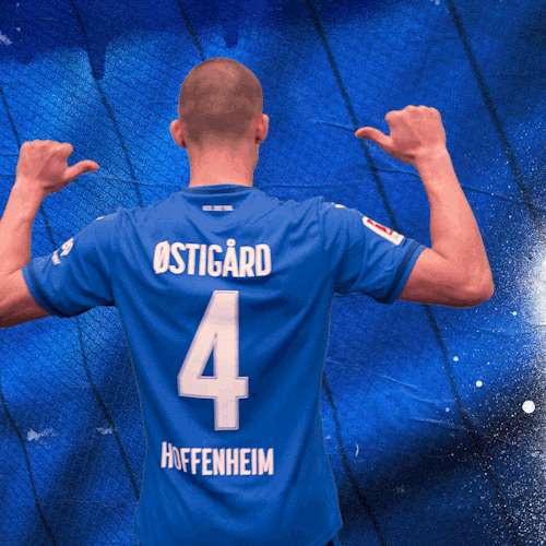 Sport Bundesliga GIF by TSG Hoffenheim