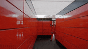 See Formula 1 GIF by Formula Santander