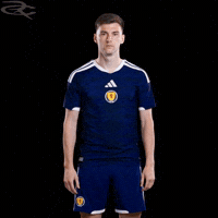Fifa World Cup Uefa GIF by Respective
