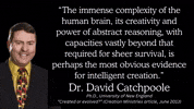 The Mind Creativity GIF