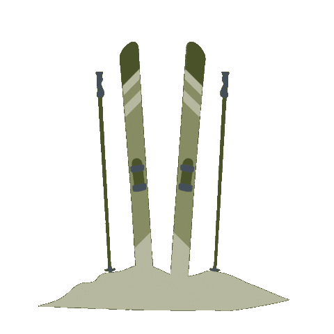 Ski Tnj Sticker by The New Journey