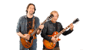 Comedians Gibson Sticker by De Mediatuin