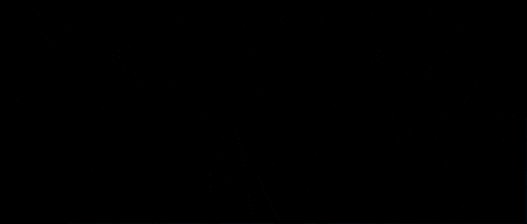 GIF by Island Records Australia