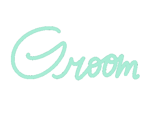 Groom Typequeen Sticker by BluWave