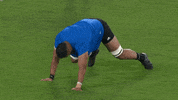 Spiderman Creeping GIF by Rugby World Cup