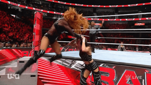 Sport Wwe GIF by USA Network