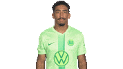 Happy Football Sticker by VfL Wolfsburg