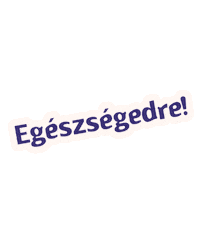 orszagosbortura cheers obt egeszsegedre bortura Sticker