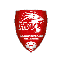 Handball Sticker by HVV