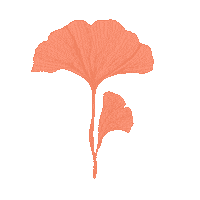 Vegan Yoga Sticker by laptitenoisette