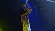 steve aoki celebration GIF by NETFLIX