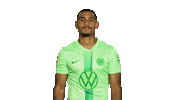 France Win Sticker by VfL Wolfsburg