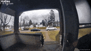 Fall Fail GIF by ViralHog