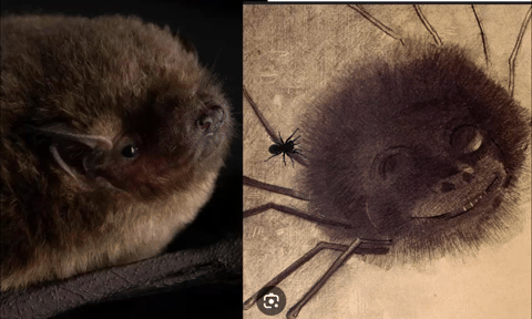 JeanneHospod giphyattribution GIF