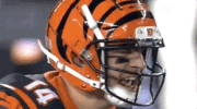 2018 Nfl Football GIF by NFL