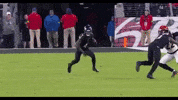 Instagram Ravens GIF