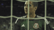 copa del mundo mexico GIF by MiSelecciónMX