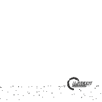 Horse Spain Sticker by Alsherry Experiences