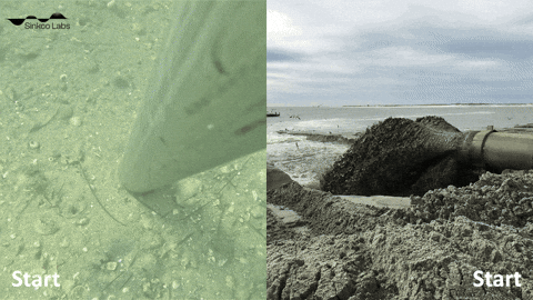 GIF description