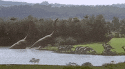 snl dinosaur GIF by Saturday Night Live