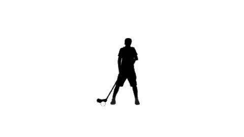 Unihockeycenter giphyupload floorball unihockey unihockeycenter Sticker