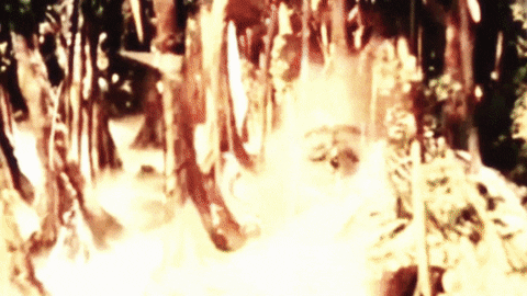 epitaphrecords giphyupload music retro music video GIF