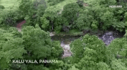 viceland GIF by JUNGLETOWN