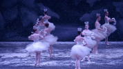 GIF by New York City Ballet