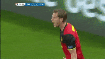 euro 2016 GIF by Sporza