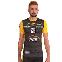 Belchatow Sticker by PGE Skra Bełchatów