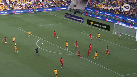 Celebration Goal GIF by Football Australia