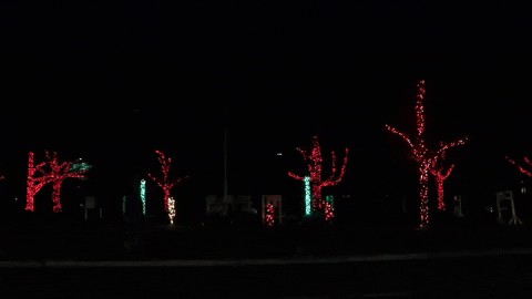 rebeccabredin giphygifmaker christmas lights tree GIF