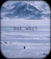 He Lived Penguin GIF