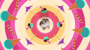 Ice Cream Milk GIF by 44 Cats