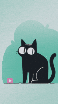 Chat Ulule GIF