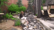 GIF by KARE 11