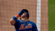 Celebrate Home Run GIF by New York Mets