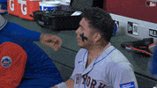 Ny Mets Hug GIF by New York Mets
