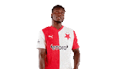 Football Soccer Sticker by SK Slavia Praha