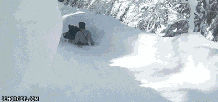 extreme home video GIF by Cheezburger