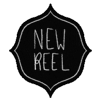 Check This Out New Video Sticker by anja sturm