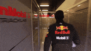 formula 1 test GIF by Red Bull Racing