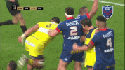 happy fc grenoble GIF by FCG Rugby