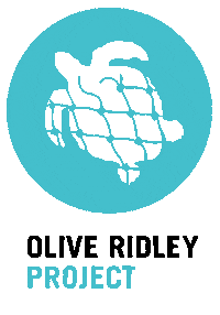 OliveRidleyProject turtle sea turtle orp olive ridley project Sticker