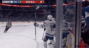 Ice Hockey Sport GIF by NHL