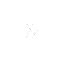 Arrow Hornet Sticker by Itay