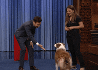 Tonight Show Omg GIF by The Tonight Show Starring Jimmy Fallon