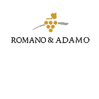 romanoeadamo romano adamo Sticker